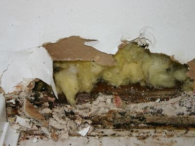 About ThermaNest - water damage restoration experts in San Diego